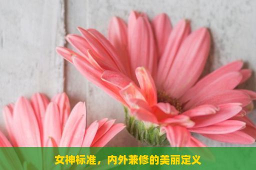 女神标准，内外兼修的美丽定义