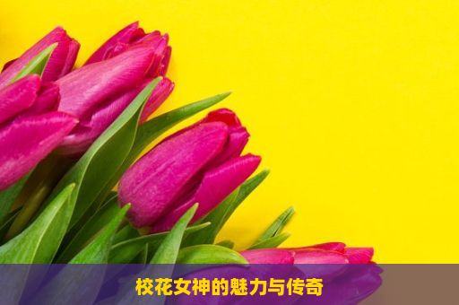 校花女神的魅力与传奇