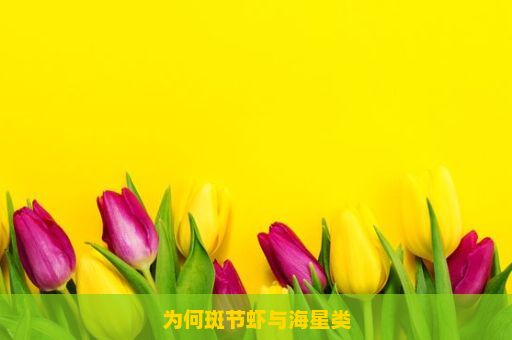 为何斑节虾与海星类