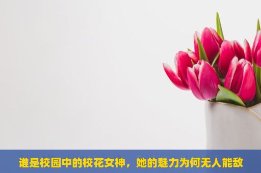 谁是校园中的校花女神，她的魅力为何无人能敌？