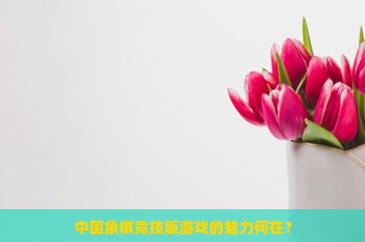 中国象棋竞技版游戏的魅力何在？