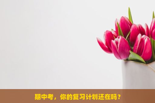 期中考，你的复习计划还在吗？