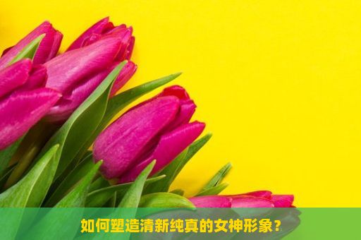 如何塑造清新纯真的女神形象？