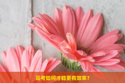 高考如何才能更有效率？