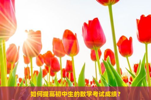 如何提高初中生的数学考试成绩？