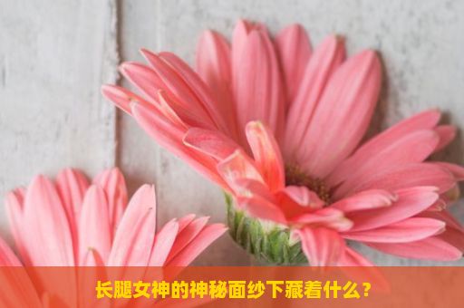 长腿女神的神秘面纱下藏着什么？