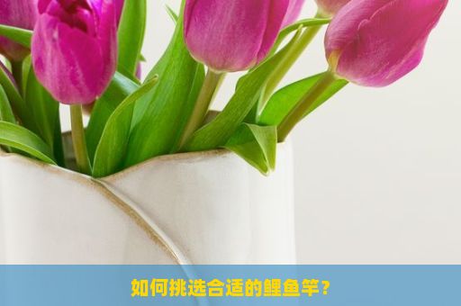 如何挑选合适的鲤鱼竿？