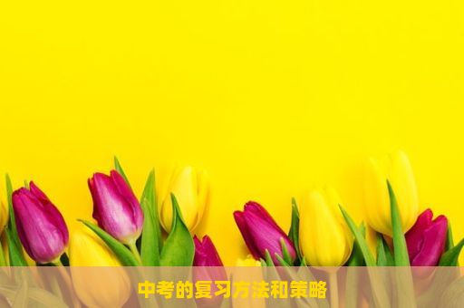 中考的复习方法和策略