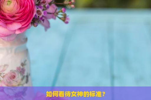 如何看待女神的标准？