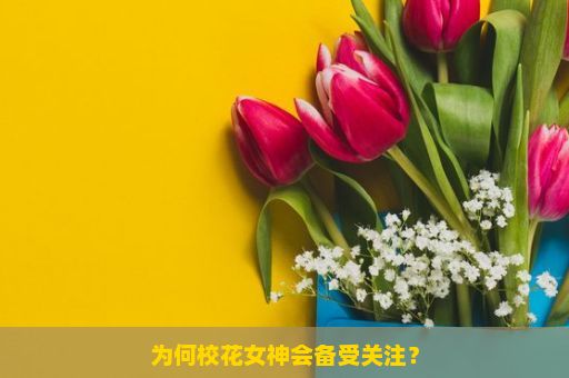 为何校花女神会备受关注？