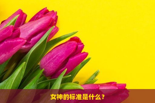 女神的标准是什么？