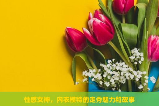 性感女神，内衣模特的走秀魅力和故事