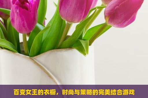 百变女王的衣橱，时尚与策略的完美结合游戏