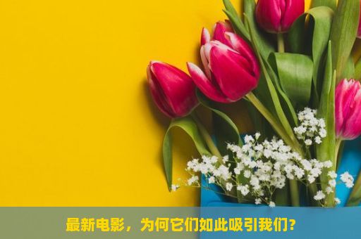 最新电影，为何它们如此吸引我们？