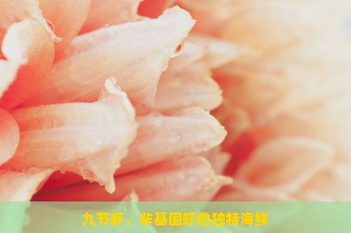 九节虾，非基围虾的独特海鲜