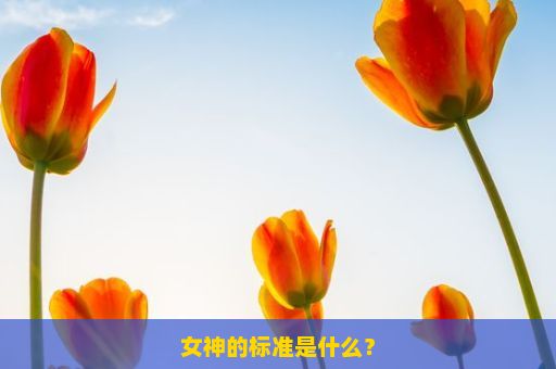 女神的标准是什么？