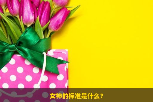 女神的标准是什么？