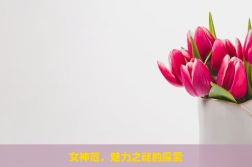 女神范，魅力之谜的探索