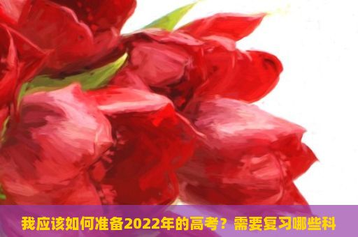 我应该如何准备2022年的高考？需要复习哪些科目？