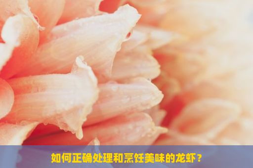 如何正确处理和烹饪美味的龙虾？