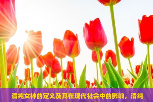  清纯女神的定义及其在现代社会中的影响，清纯女神的魅力之源