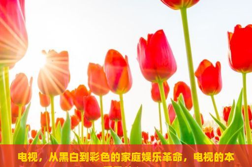 电视，从黑白到彩色的家庭娱乐革命，电视的本质是什么？