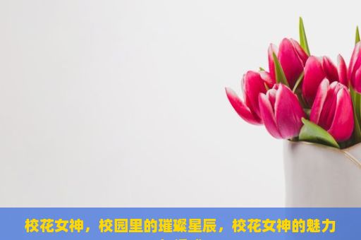 校花女神，校园里的璀璨星辰，校花女神的魅力与诱惑