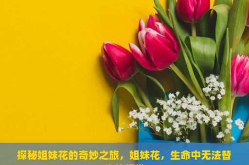 探秘姐妹花的奇妙之旅，姐妹花，生命中无法替代的纽带