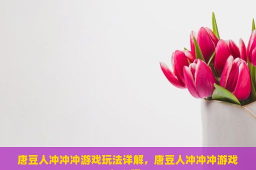 唐豆人冲冲冲游戏玩法详解，唐豆人冲冲冲游戏怎么玩？