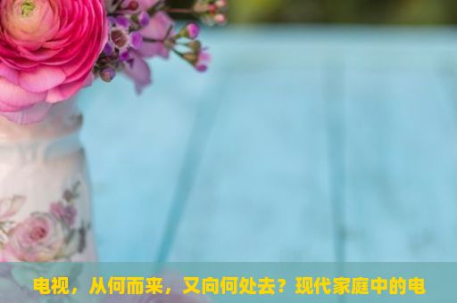 电视，从何而来，又向何处去？现代家庭中的电视消费习惯，一种科技、文化和价值观的综述