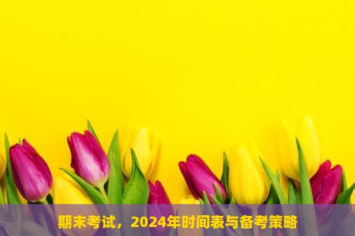 期末考试，2024年时间表与备考策略