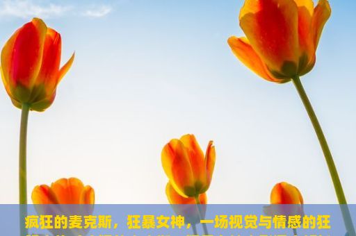 疯狂的麦克斯，狂暴女神，一场视觉与情感的狂躁之旅（疯狂的麦克斯，狂暴女神电影深度解析）