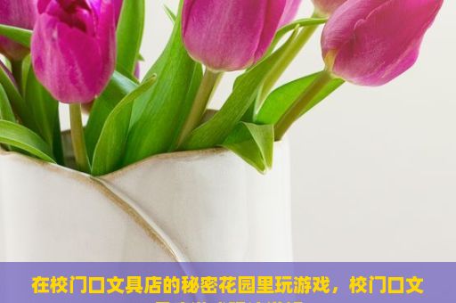 在校门口文具店的秘密花园里玩游戏，校门口文具店游戏玩法详解