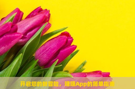 开启您的新冒险，赚赚App的简单指南