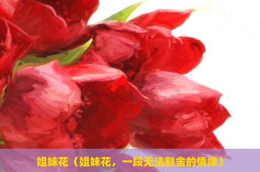 姐妹花（姐妹花，一段无法割舍的情缘）