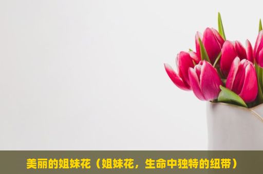 美丽的姐妹花（姐妹花，生命中独特的纽带）