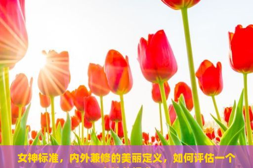 女神标准，内外兼修的美丽定义，如何评估一个女神的标准