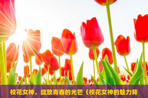 校花女神，绽放青春的光芒（校花女神的魅力背后）