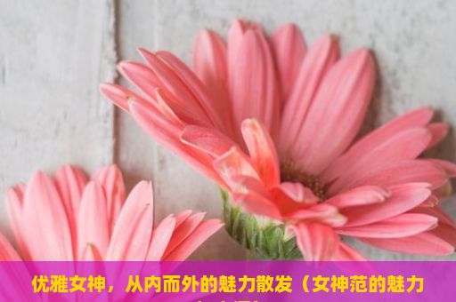 优雅女神，从内而外的魅力散发（女神范的魅力与内涵）