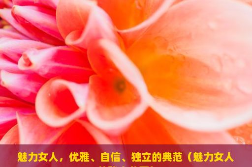 魅力女人，优雅、自信、独立的典范（魅力女人的秘密花园）