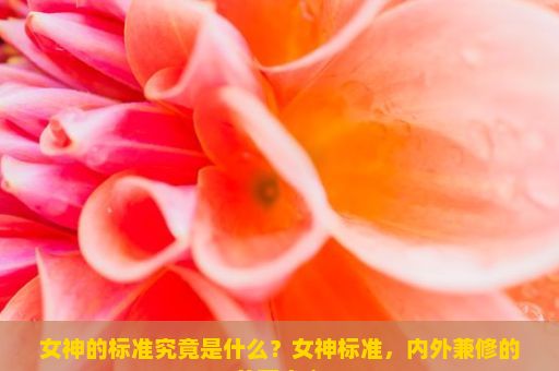 女神的标准究竟是什么？女神标准，内外兼修的美丽定义