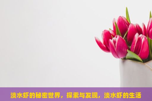 淡水虾的秘密世界，探索与发现，淡水虾的生活习性和生态环境