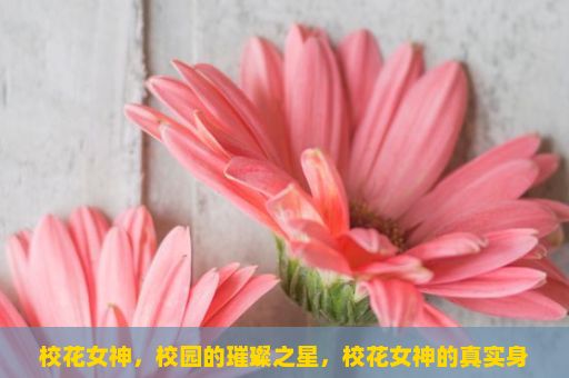 校花女神，校园的璀璨之星，校花女神的真实身份和过去