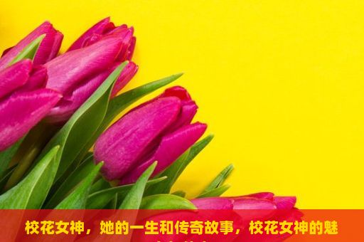 校花女神，她的一生和传奇故事，校花女神的魅力与传奇