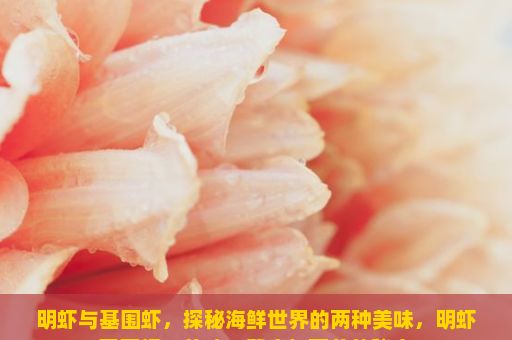 明虾与基围虾，探秘海鲜世界的两种美味，明虾基围虾，美味、健康与营养的秘密