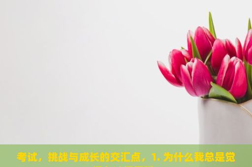 考试，挑战与成长的交汇点，1. 为什么我总是觉得考试很无聊？