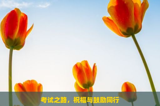 考试之路，祝福与鼓励同行