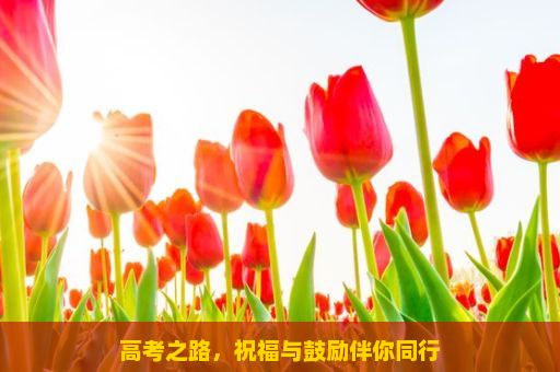 高考之路，祝福与鼓励伴你同行