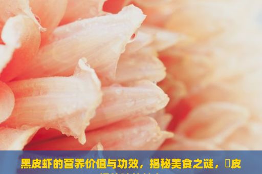 黑皮虾的营养价值与功效，揭秘美食之谜，黒皮虾的独特魅力