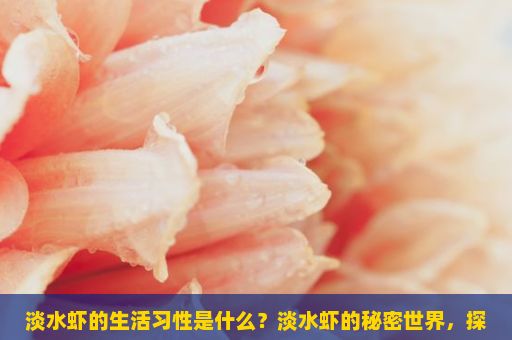 淡水虾的生活习性是什么？淡水虾的秘密世界，探索与保护之路